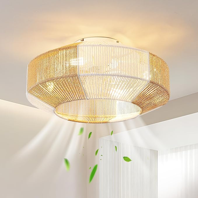 Ceiling Fans with Lights