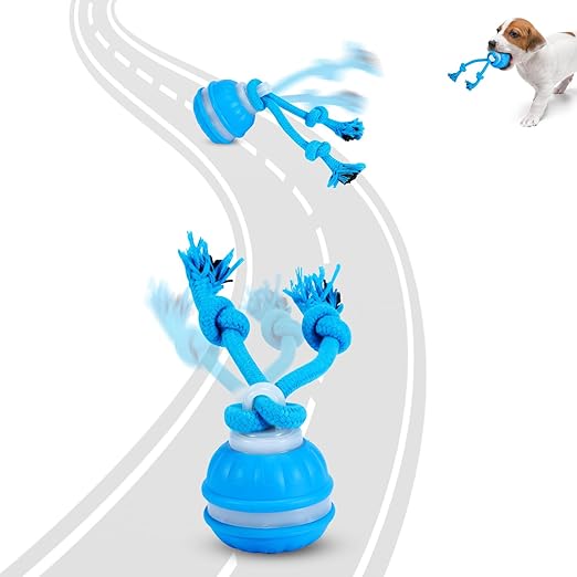 Interactive Dog Toy