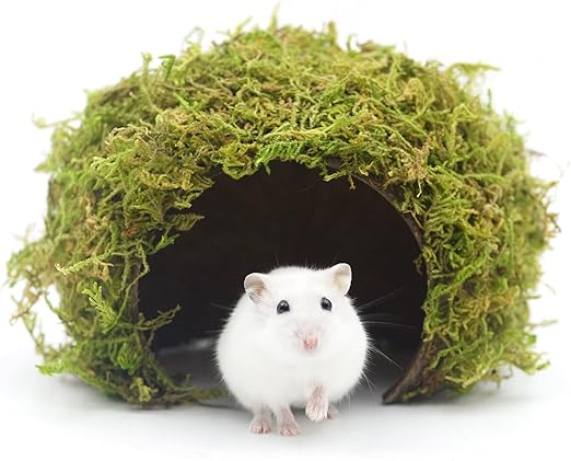 Handcrafted Natural Hamster Hideout