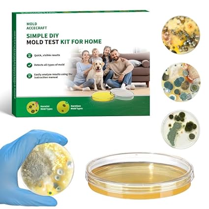 All-in-One Home Mold Test Kit