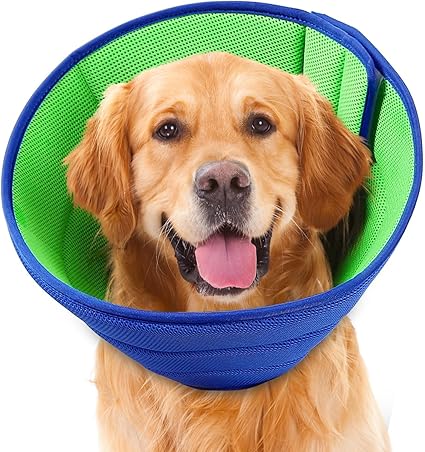 Soft Dog Cone Collar Alternative
