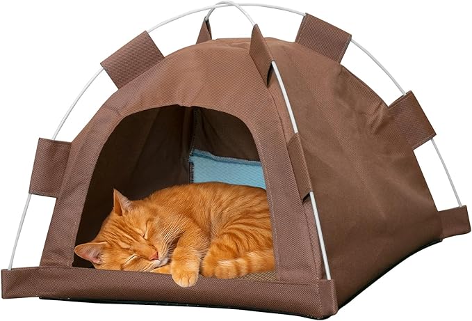 Cat Tent House