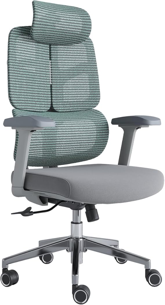 Ergonomic Office Chair with Lumbar Support