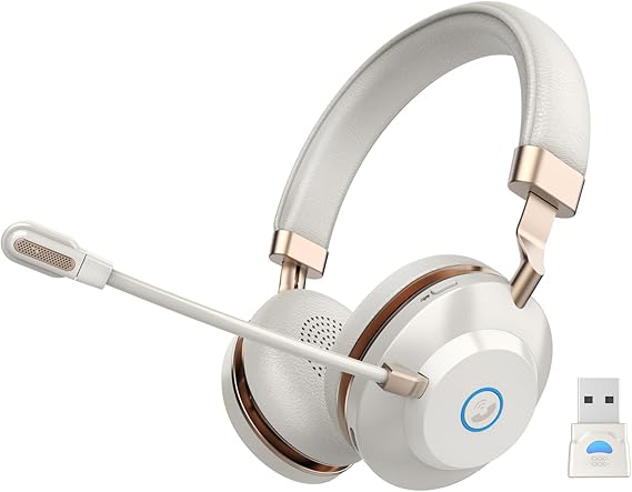 Wireless Headset with Microphone