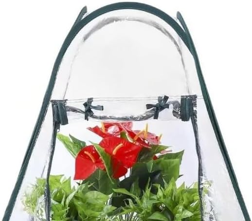 5-Piece Garden Dome Tent