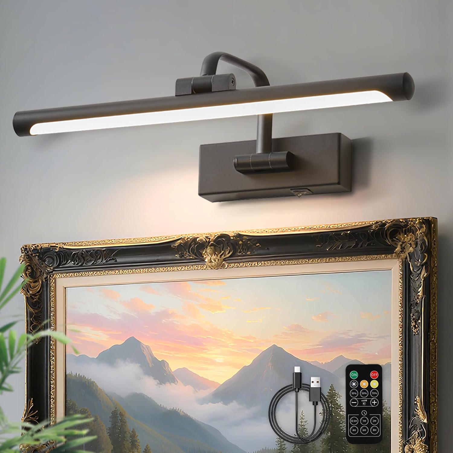 Picture Lights for Wall, Battery Operated & Rechargeable
