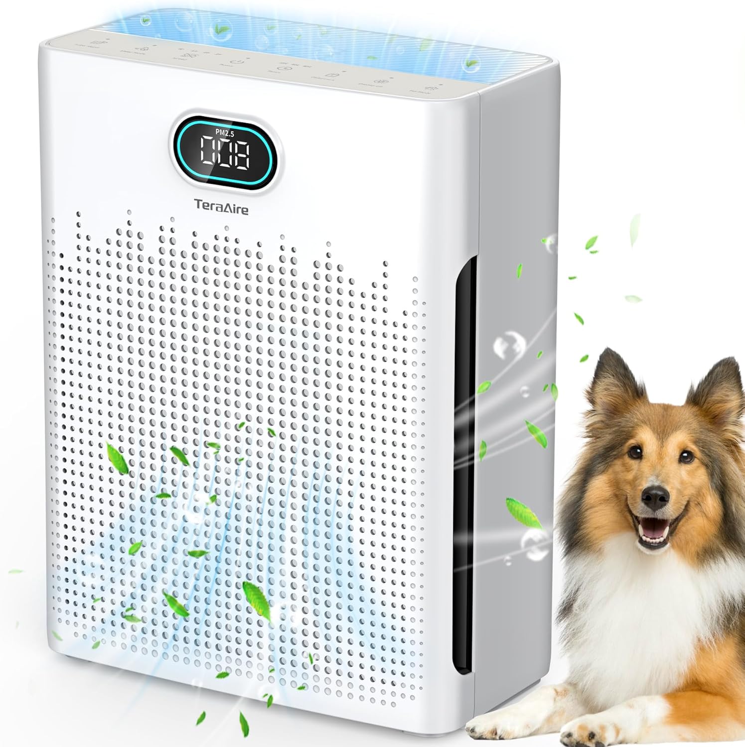 Large Room Air Purifier – Covers 2200 Ft² with HEPA