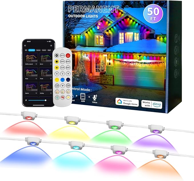 Permanent Outdoor Lights for House