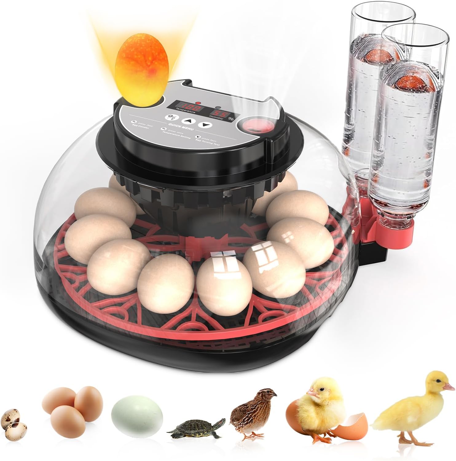 XISEUJV Incubators for Hatching Eggs