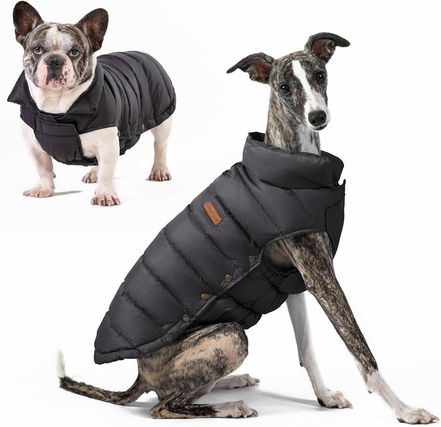 CSPACE LION Dog Puffer Jacket