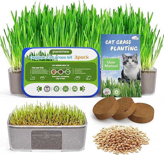 Cat Grass Kit for Indoor Cats 3 Pack