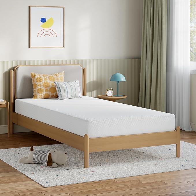 Novilla 8″ Queen Memory Foam Mattress
