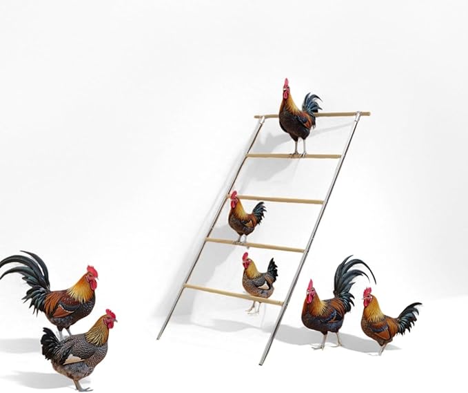 Roosting Perch for Chickens – Large 40×55 Inch Coop Bar