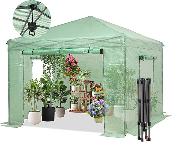 10x10ft Pop Up Greenhouse, Instant Walk-in Plant Greenhouse