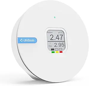 Portable E‑Ink Radon Detector