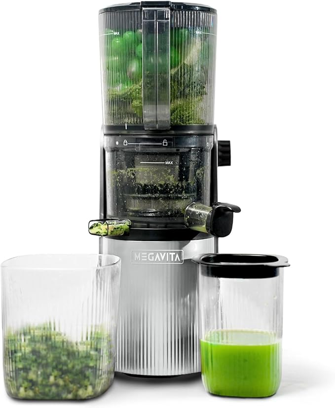 Cold Press Slow Masticating Juicer