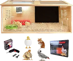 Chick Brooder Box Starter Kithttps://amzn.to/49PdYz6