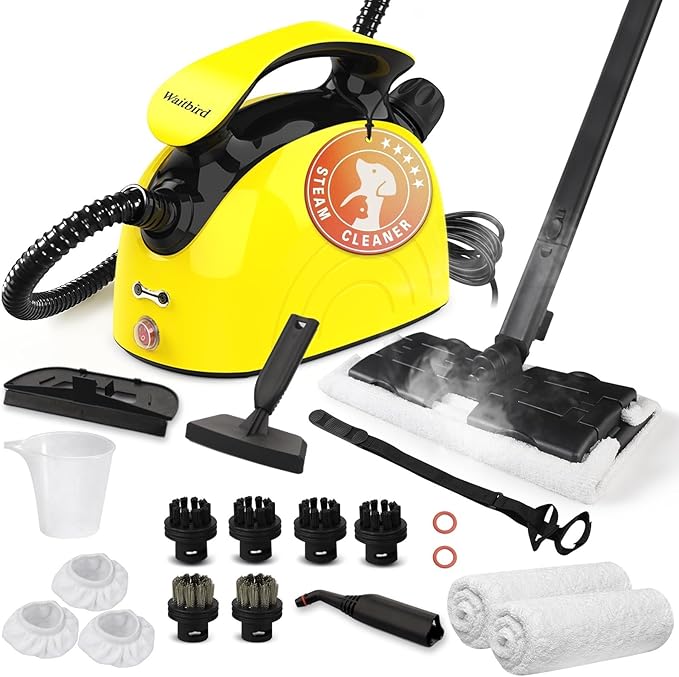 Handheld Steam Cleaner 21 Accessories 248°F