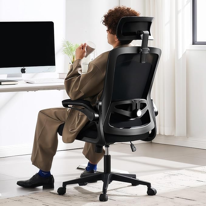 Fizzin Ergonomic Mesh Office Chair