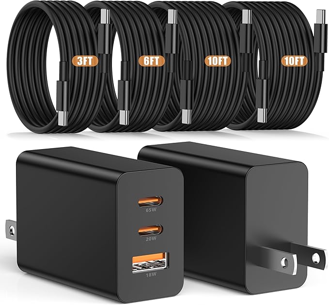 Susnwere Sixty Five Watt Wall Charger