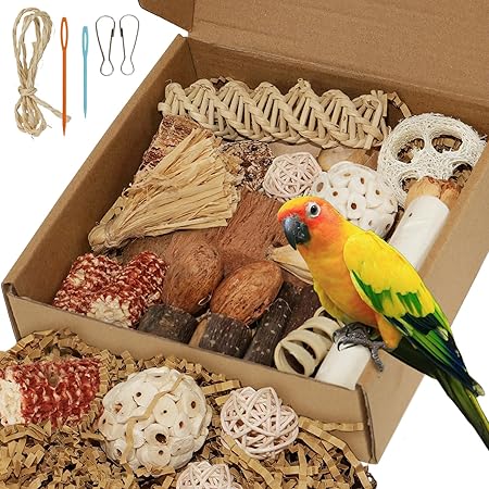 Parrot Natural Foraging Box Toy