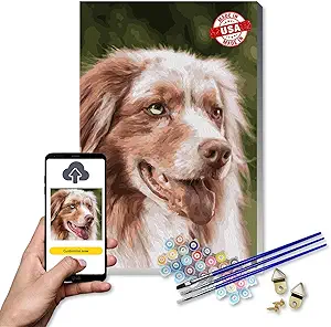 Customized Personalized Paint by Numbers Kit for Adults