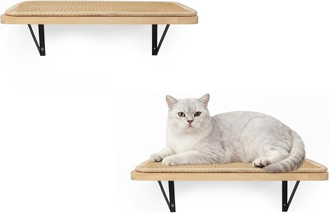 Cat Wall Shelves With Scratching Mat