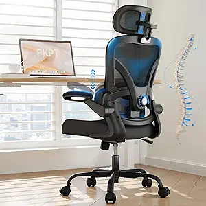 Ergonomic Mesh Office & Gaming Chair (Black)