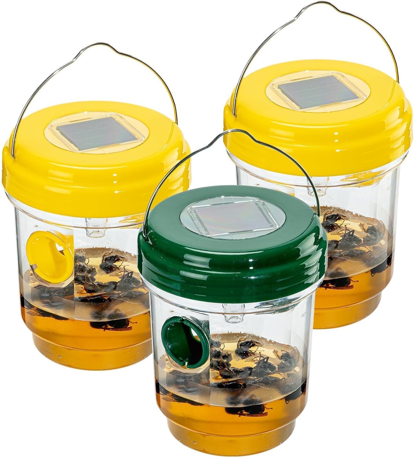 3-Piece Outdoor Hanging Wasp Trap Set