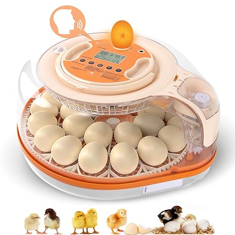 Smart Voice-Controlled Egg Incubator System