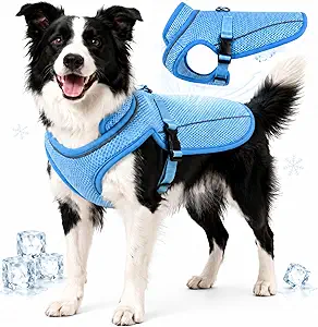 Dog Cooling Vest Evaporative Cooling Jacket Lightweight Breathable Mesh
