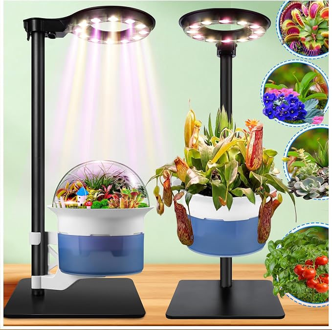 Large Venus Fly Trap Terrarium Kit with Grow Light Timer Adjustable Metal Stand