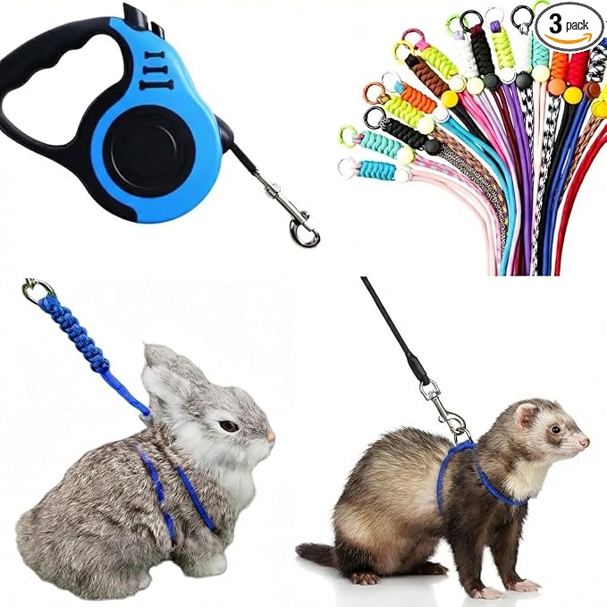 Small Pet Harness and Leash Set (3-Piece)