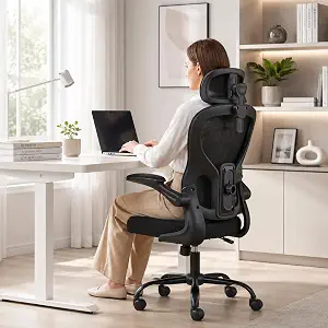 Ergonomic High Back Mesh Office Chair with Adjustable Headrest & Lumbar Support (Black)